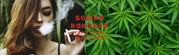 гидропоника Абаза